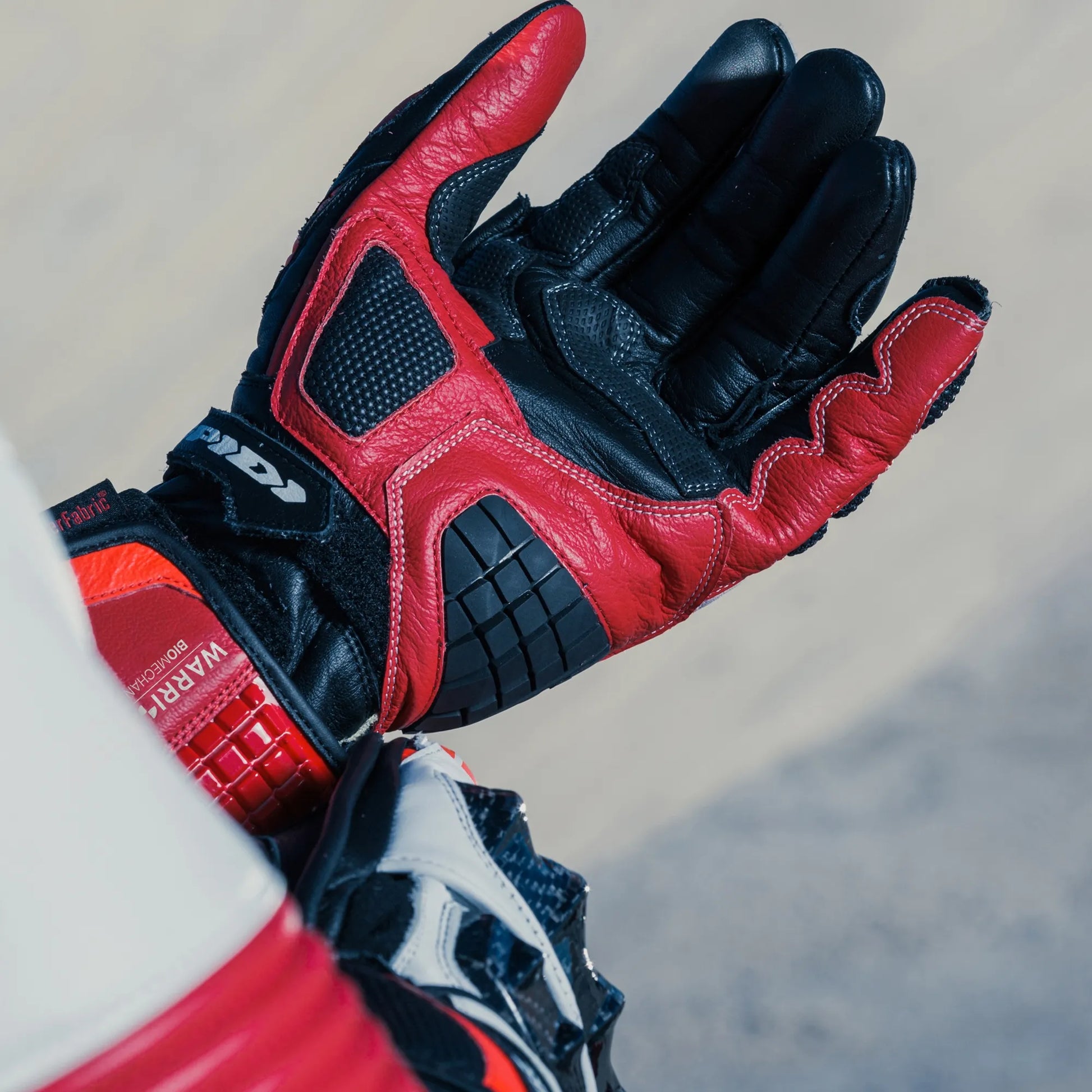 Carbo Track Evo Leather Gloves-Motorcycle Race Suit