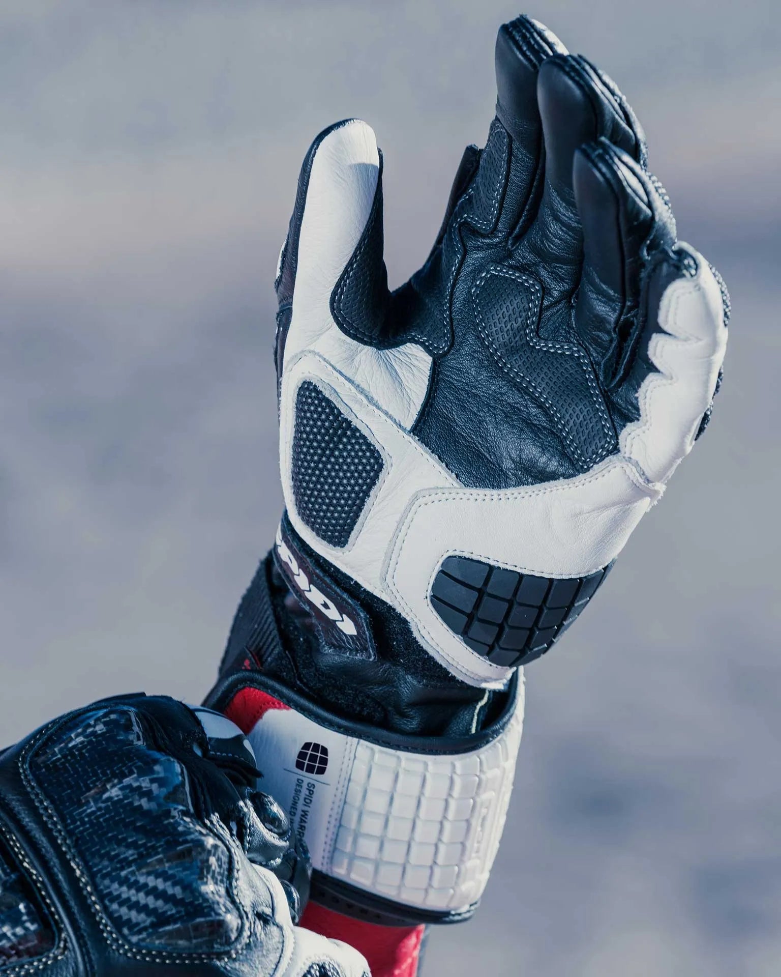 Carbo Track Evo Leather Gloves-Motorcycle Race Suit